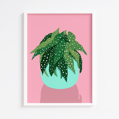 Spot Begonia Plant Print