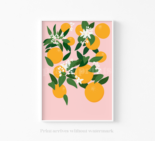 Botanical Oranges Pink Print