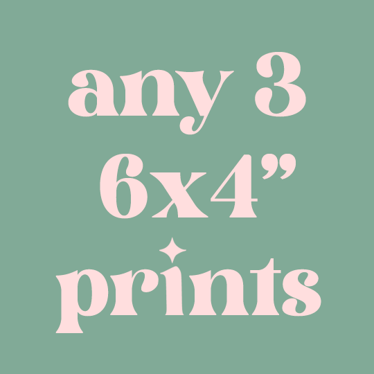 Any 3 6x4 Prints Mix and Match
