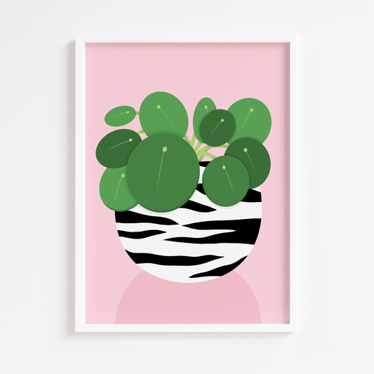 Chinese Money Plant Print
