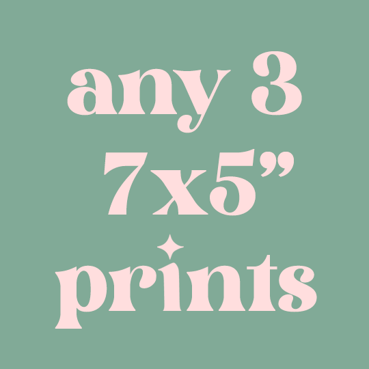 Any 3 7x5 Prints Mix and Match