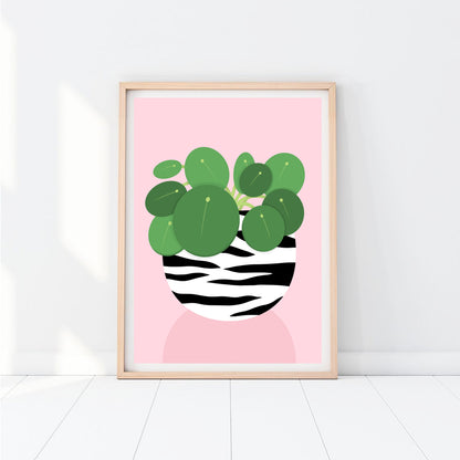 Chinese Money Plant Print