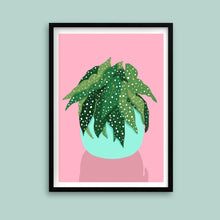 Load image into Gallery viewer, Spot Begonia Plant Print

