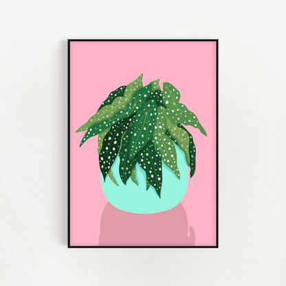 Spot Begonia Plant Print